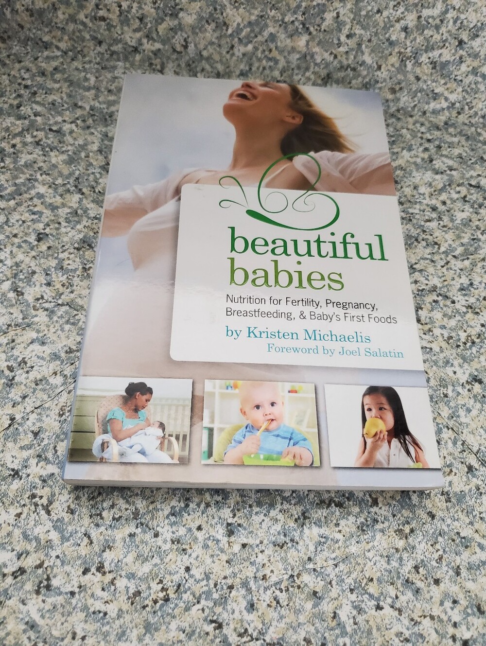 Beautiful Babies Nutrition Fertility Pregnancy Breastfeeding Kristen Michaelis
